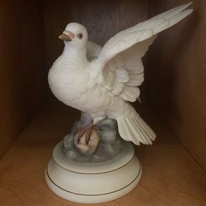 White Dove by Andrea